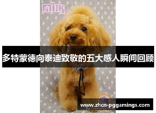 多特蒙德向泰迪致敬的五大感人瞬间回顾