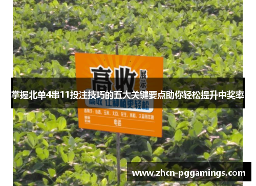 掌握北单4串11投注技巧的五大关键要点助你轻松提升中奖率